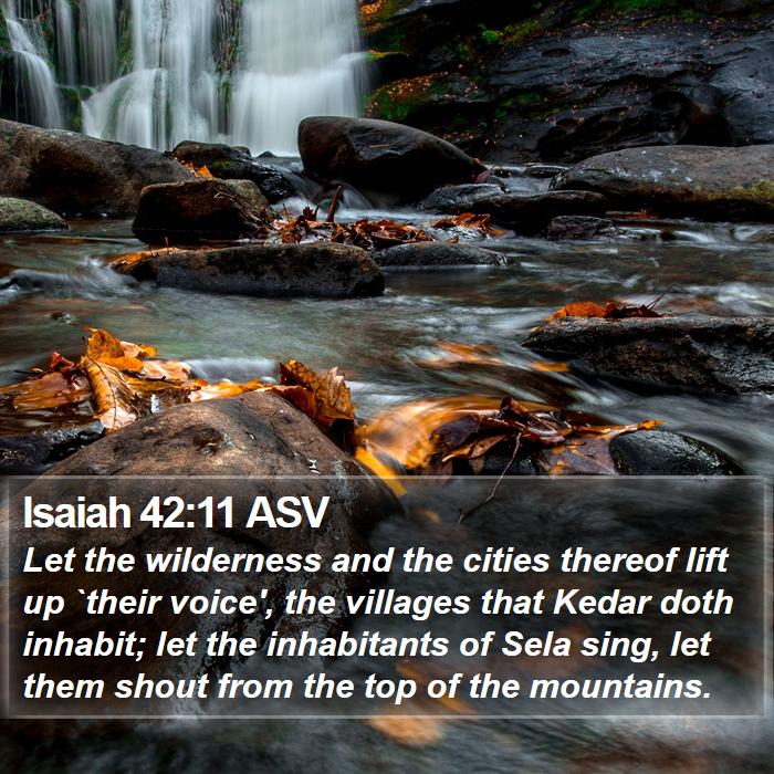 Isaiah 42 11 ASV Let The Wilderness And The Cities Thereof Lift Up