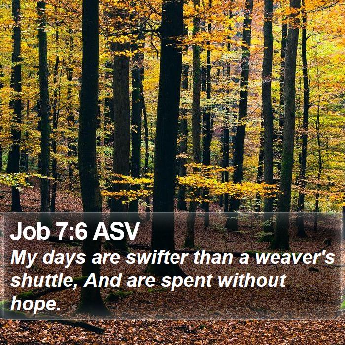 Job 7:6 Asv - My Days Are Swifter Than A Weaver's Shuttle, And