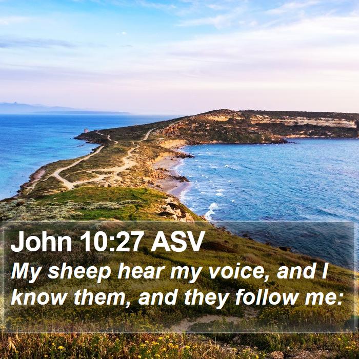 john-10-27-asv-my-sheep-hear-my-voice-and-i-know-them-and-they