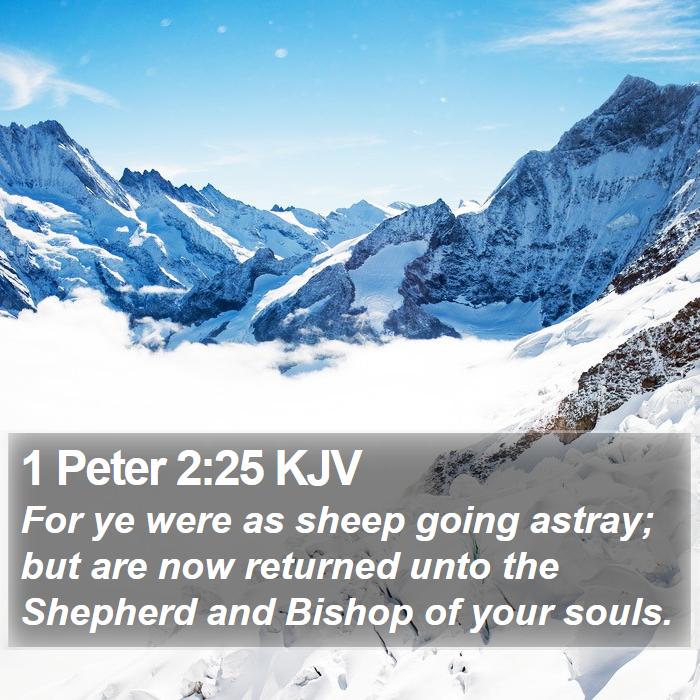 1-peter-2-scripture-images-1-peter-chapter-2-kjv-bible-verse-pictures