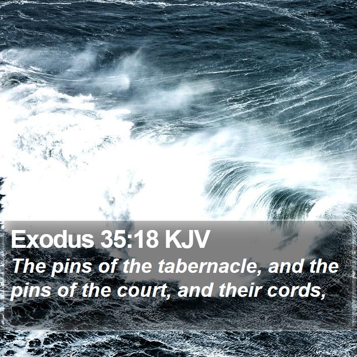 Exodus KJV The Pins Of The Tabernacle And The Pins Of The