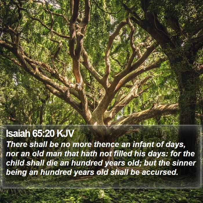 Isaiah 65 20 KJV There Shall Be No More Thence An Infant Of Days 