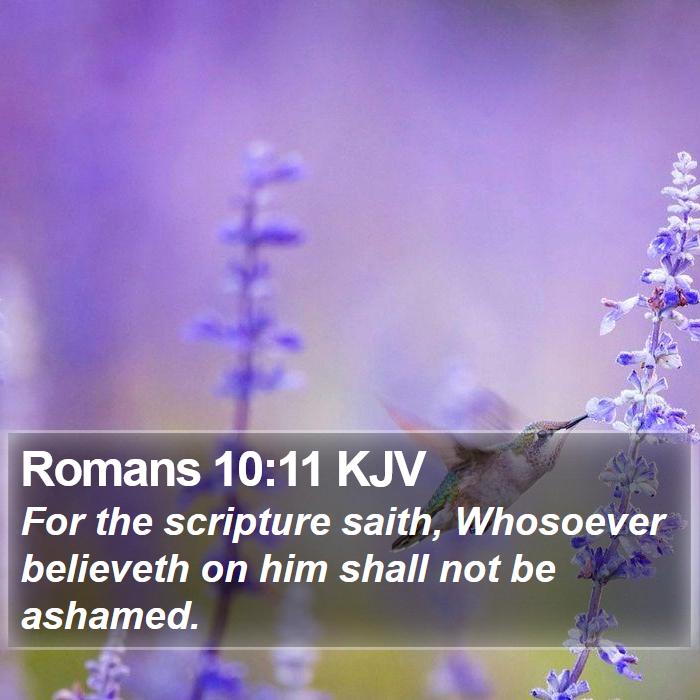 Romans 10 11 KJV Bible Verse Images