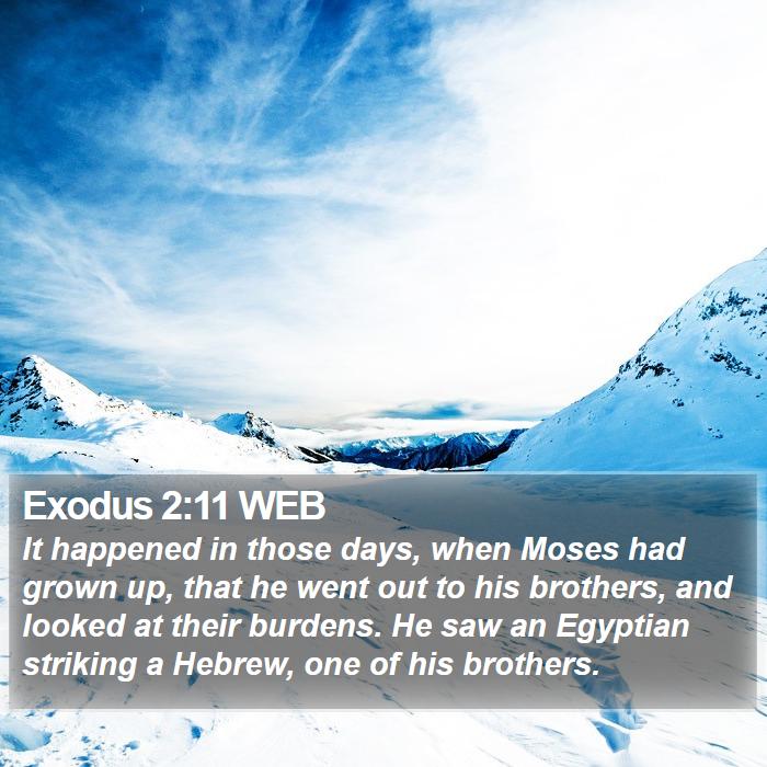 exodus-2-11-web-it-happened-in-those-days-when-moses-had-grown