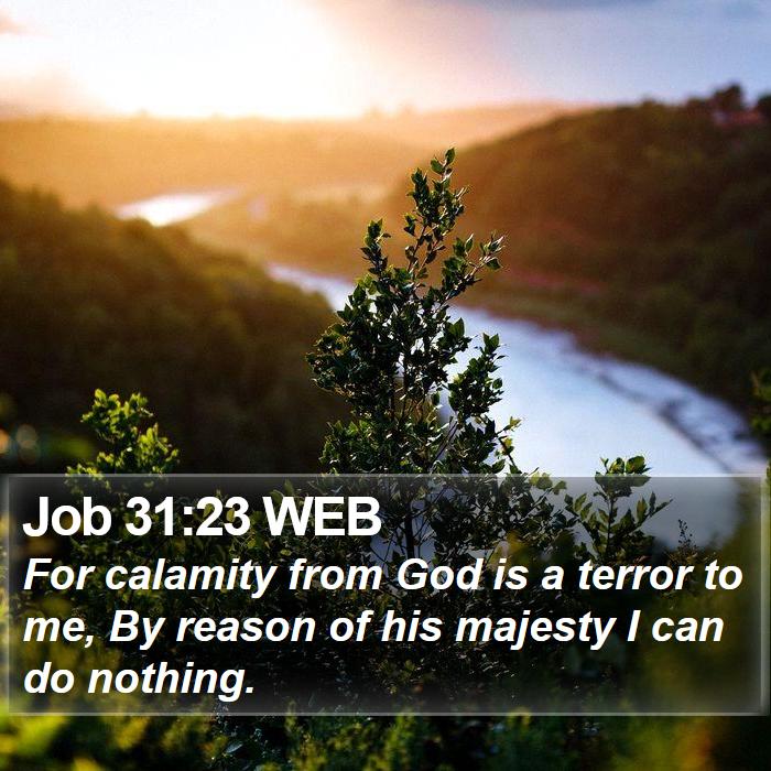 Job 31:23 Web - For Calamity From God Is A Terror To Me, By