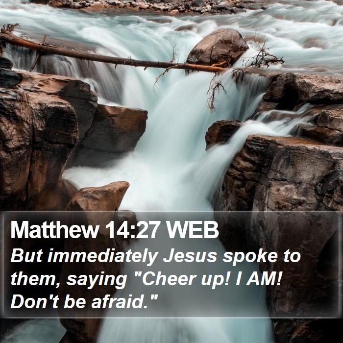 Matthew 14:27 WEB - But Immediately Jesus Spoke To Them, Saying