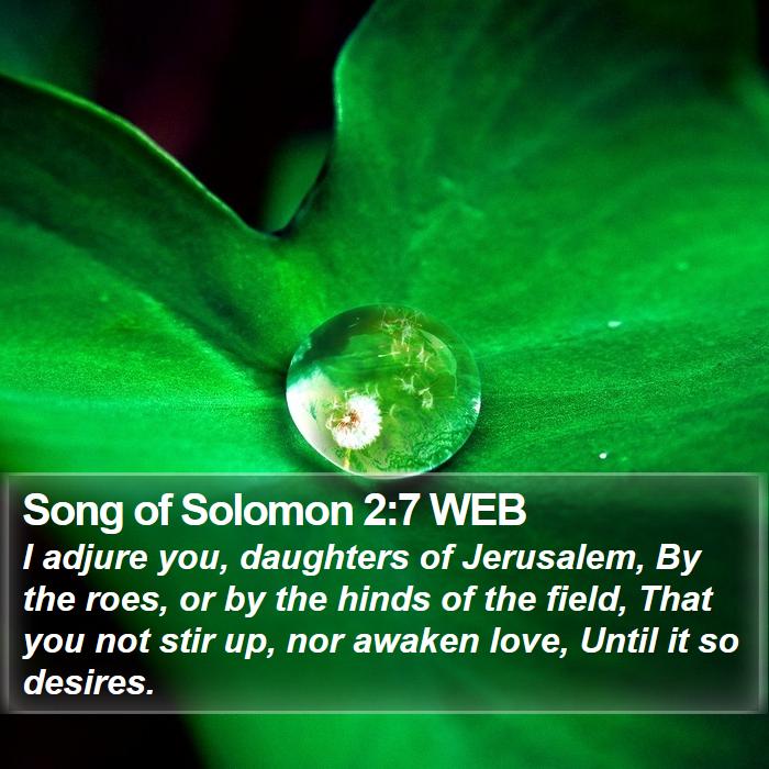 Song Of Solomon 2:7 Web - I Adjure You, Daughters Of Jerusalem, By The