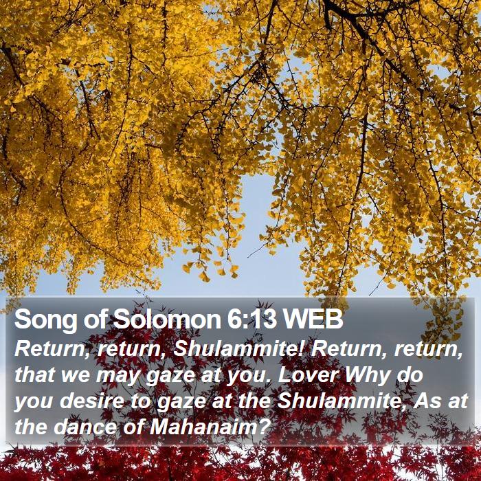 Song Of Solomon 6:13 Web - Return, Return, Shulammite! Return, Return, That