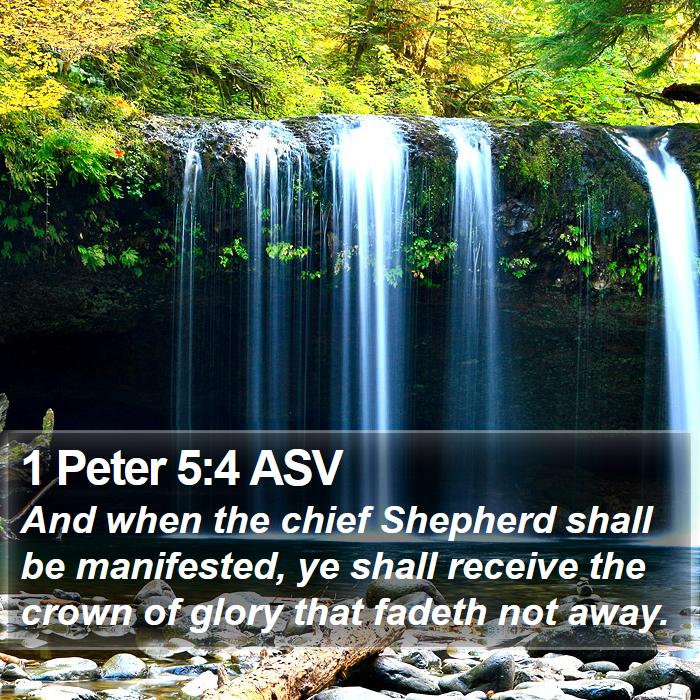 1 Peter 5 4 Asv And When The Chief Shepherd Shall Be Manifested