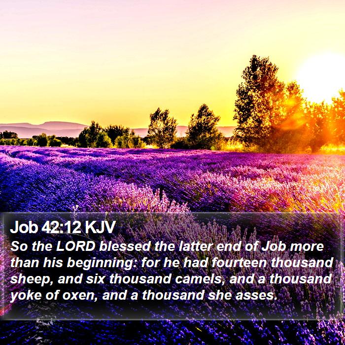 Job 42:12 KJV Bible Verse Images