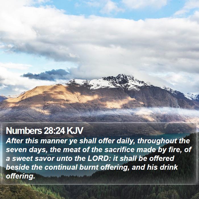 Numbers 28:24 KJV - After this manner ye shall offer daily,