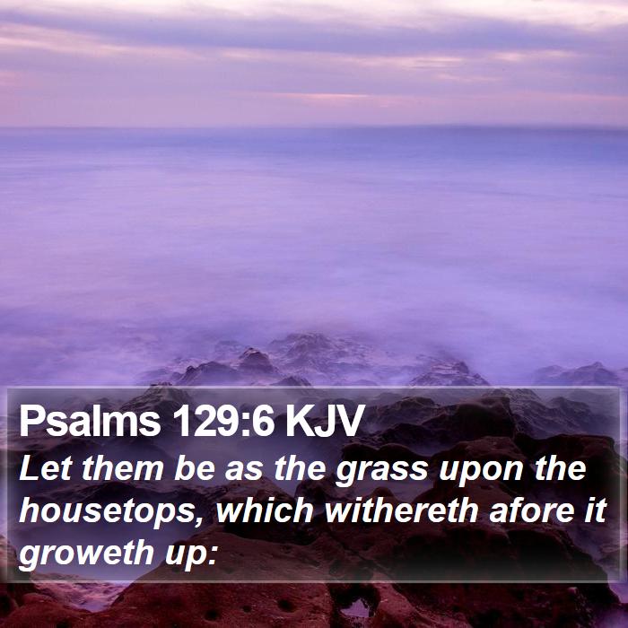 Psalms 129:6 KJV - Let them be as the grass upon the housetops,