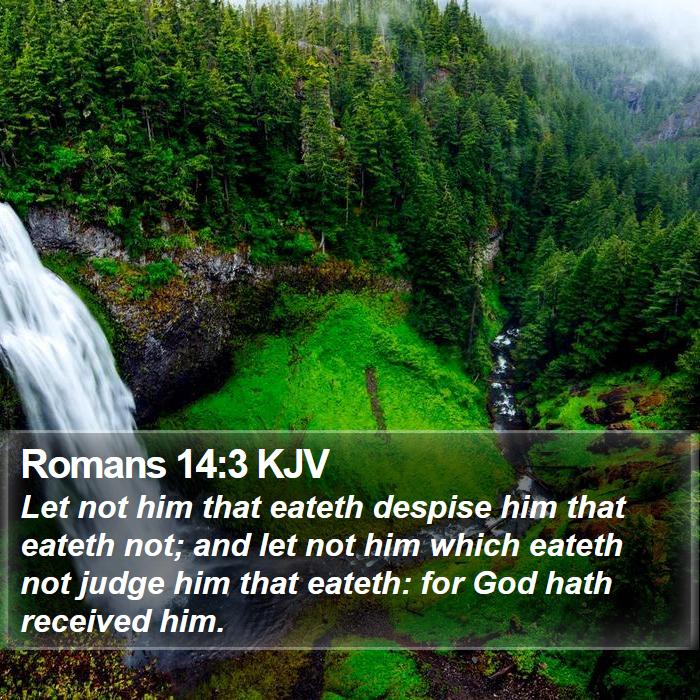 Romans 14:3 KJV Bible Verse Images