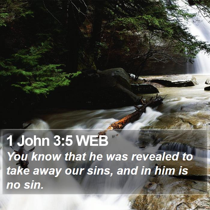 1 John 3:5 WEB - You know that he was revealed to take away our