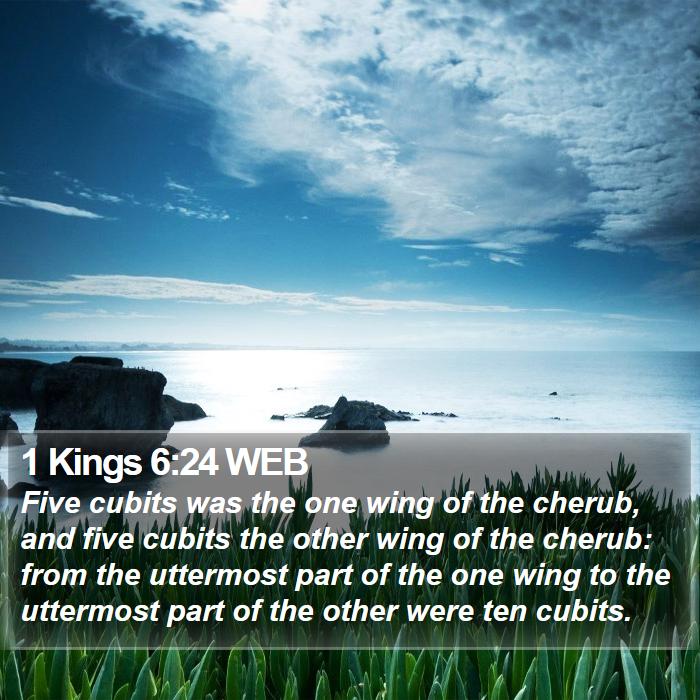 1 Kings 6 24 WEB Five Cubits Was The One Wing Of The Cherub And