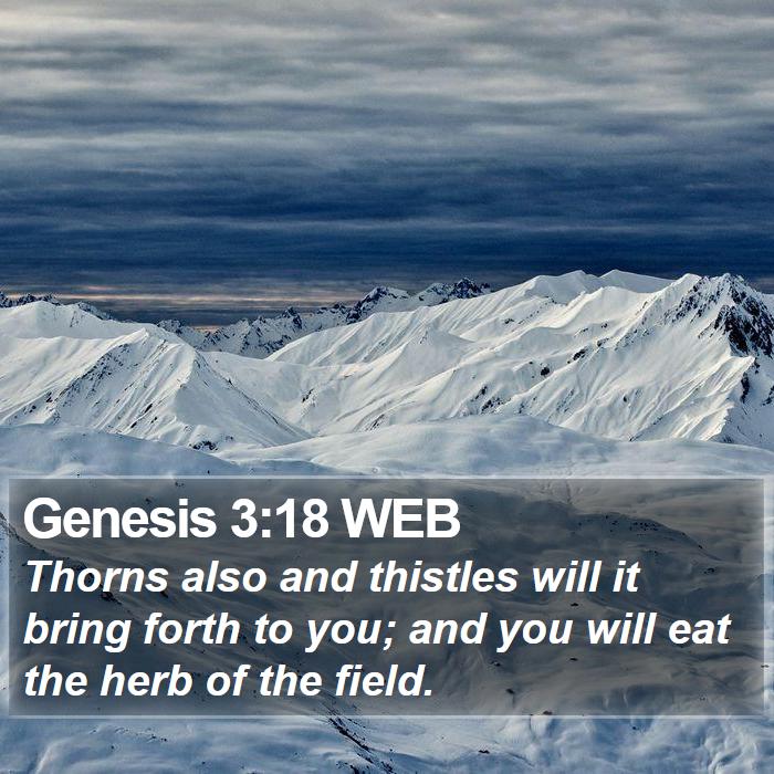 Genesis 3:18 WEB - Thorns also and thistles will it bring forth to