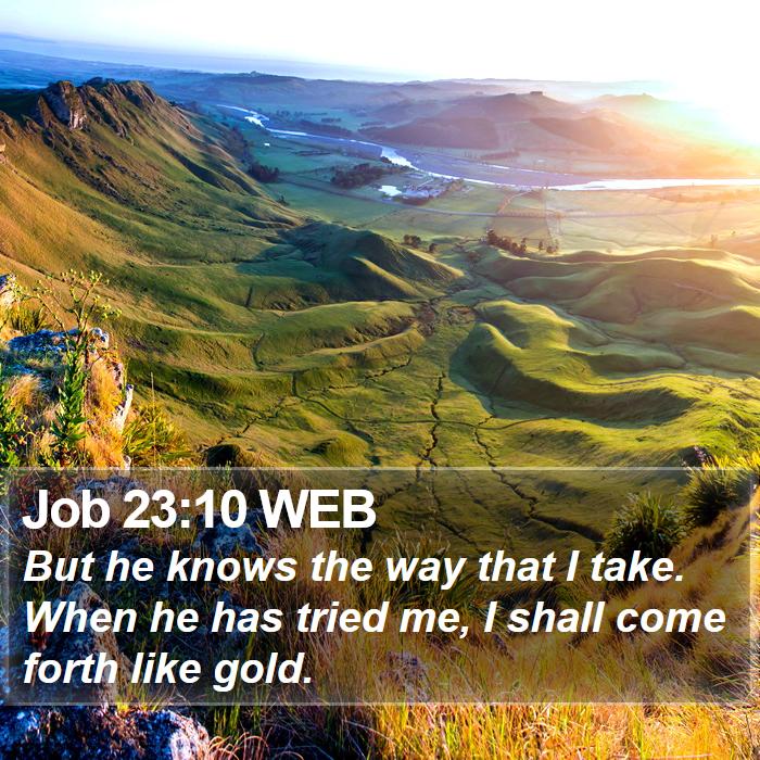 Job 23:10 WEB - But he knows the way that I take. When he has