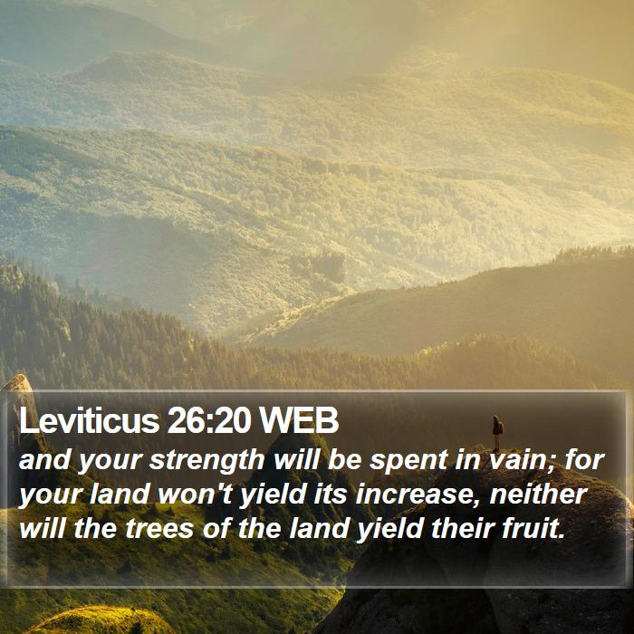 Leviticus 26:20 WEB Scriptures Images