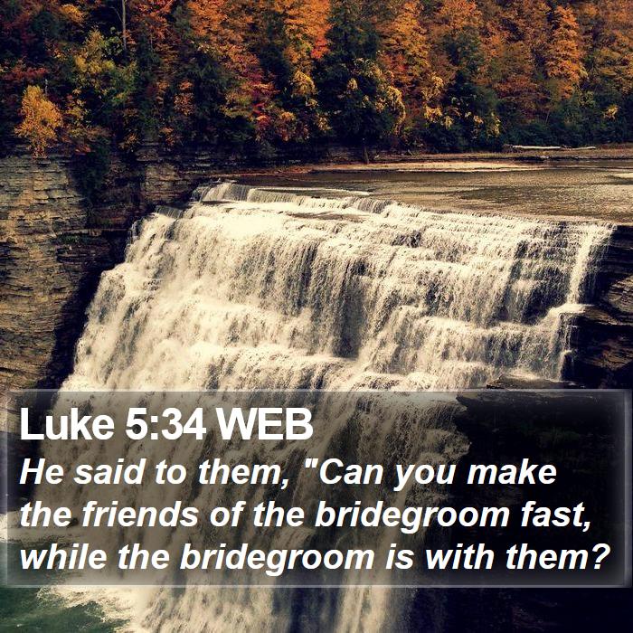 luke-5-34-web-he-said-to-them-can-you-make-the-friends-of-the