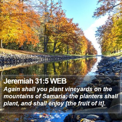 Jeremiah 31 Scripture Images - Jeremiah Chapter 31 WEB Bible Verse Pictures