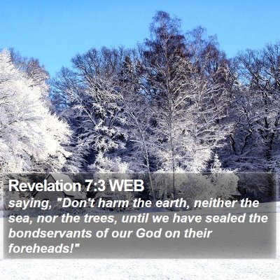 Revelation 7 Scripture Images - Revelation Chapter 7 WEB Bible Verse ...